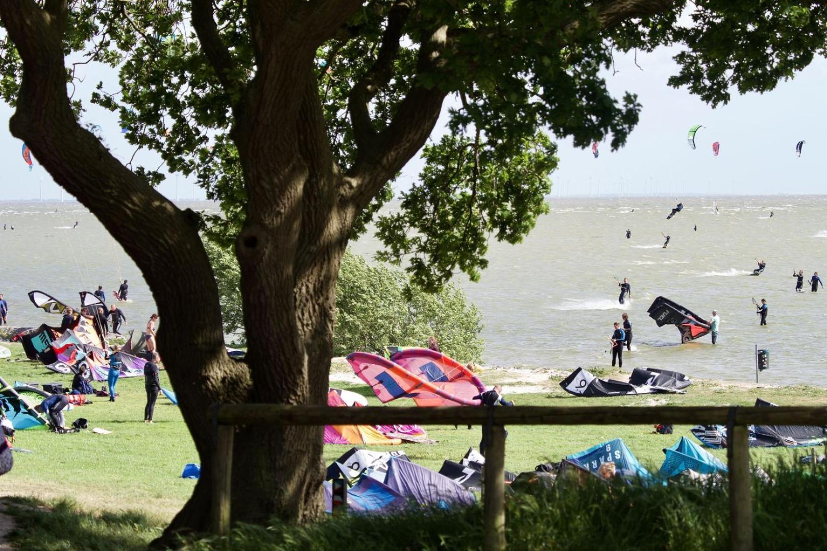 Luxe Bosvilla De Paradijsvogel Rijs Luaran gambar