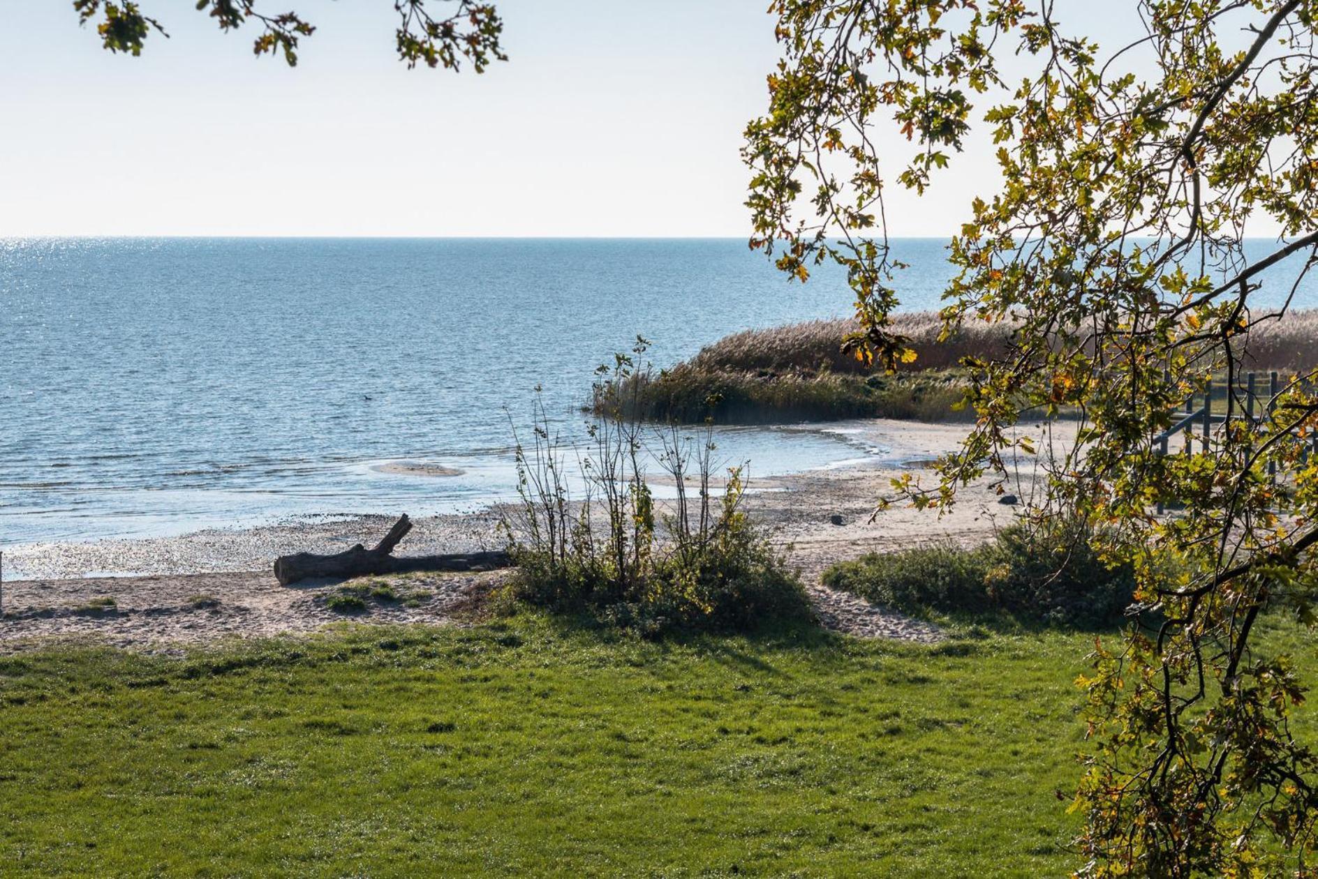 Luxe Bosvilla De Paradijsvogel Rijs Luaran gambar