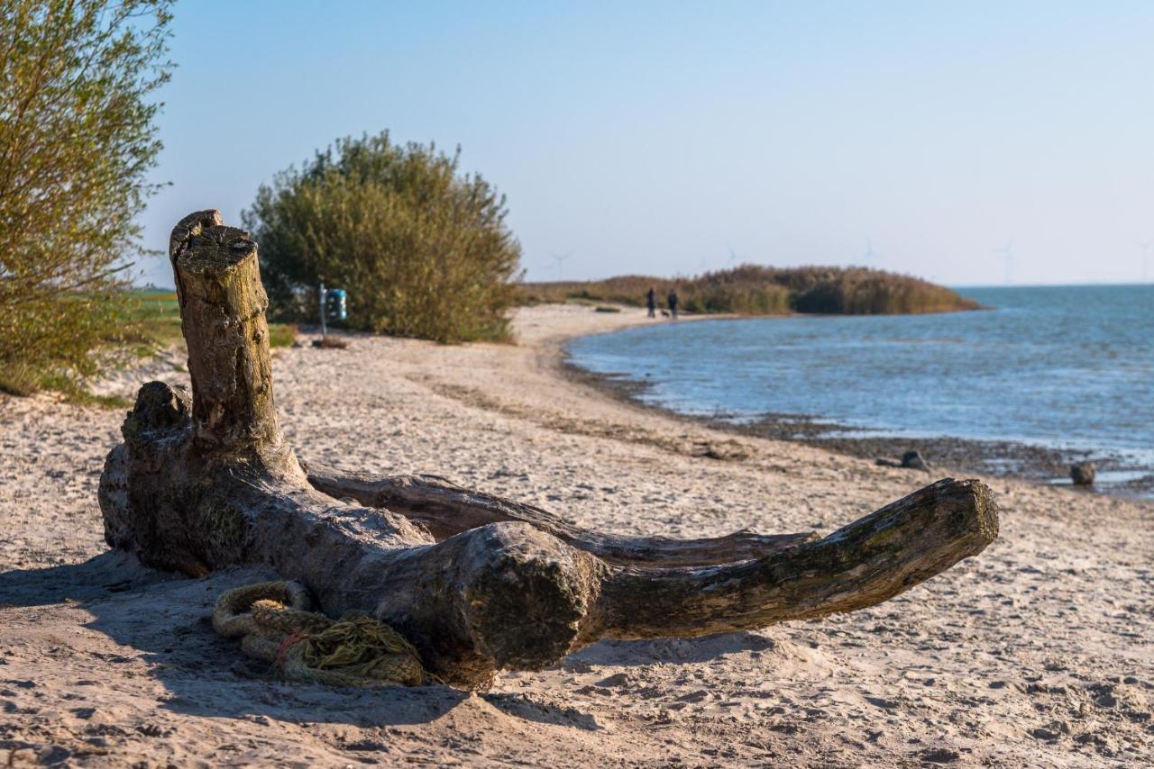 Luxe Bosvilla De Paradijsvogel Rijs Luaran gambar