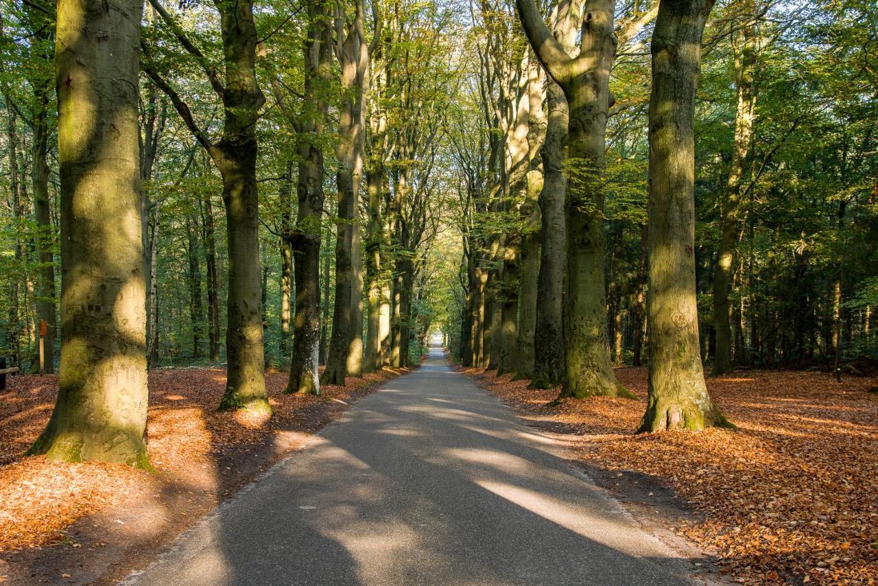 Luxe Bosvilla De Paradijsvogel Rijs Luaran gambar